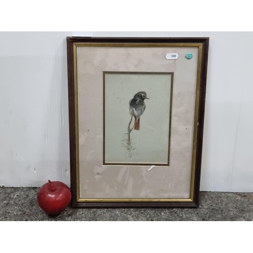 671 - A charming origina vintage watercolour on paper painting of a coaltit bird perched on a branch. Sign... 