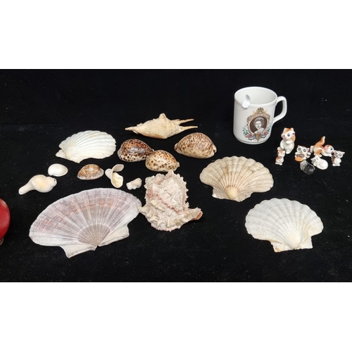 259 - A biscuit tin full of vintage sea shells and original Silver Jubilee mug for Queen Elizabeth II by B... 