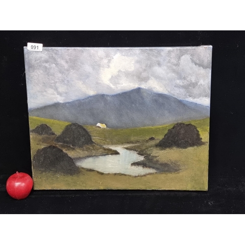 91 - An original vintage oil on canvas painting depicting a west of Ireland landscape with thatched cotta... 