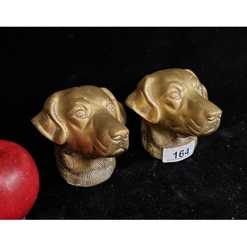 164 - A pair of heavy brass wall mounts in the form of a Labrador head, with nice incised fur detail and s... 