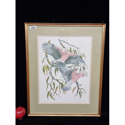 76 - A large limited edition (151/250) print of a work by famed Australian bird artist  Peter Longhurst d... 