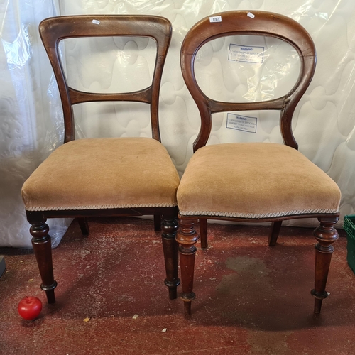 897 - A beautiful pair of Victorian, mahogany balloon back chairs. Upholstered in a soft, plush suede in a... 