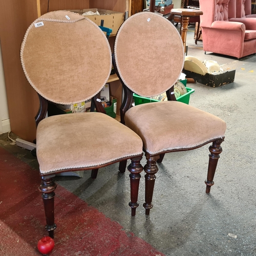 898 - A beautiful pair of Victorian, mahogany chairs. Upholstered in a soft, plush suede in a camel shade.