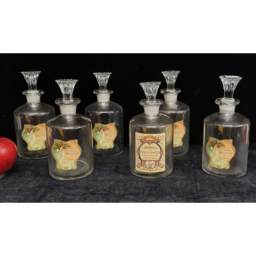 109 - Star Lot ; A set of six very pretty glass bottles with petal shaped stoppers, all illustrated with F... 