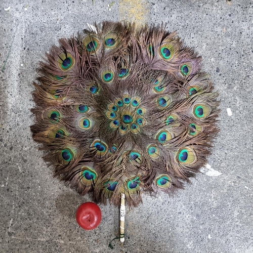 770 - Star lot : A Victorian absolutely fabulous fan made of overlayed peacock feathers, a completely uniq... 