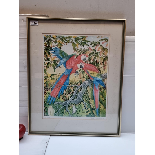 244 - A large limited edition (229/300) print of a watercolour by celebrated Australian bird artist Peter ... 