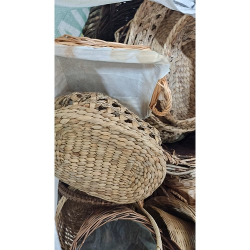 616 - A very large number of wicker baskets. Included are lobster style baskets, fruit baskets, flower bas... 