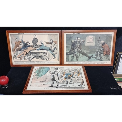 241 - Three brilliant framed antique satirical cartoon illustration supplements from the Weekly Freeman's ... 