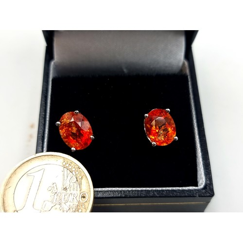 705 - A pair of sparkling sterling silver Amber stone stud earrings. Beautiful deep hue to Amber. Presente... 