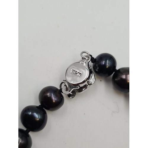 24 - A striking natural Black Pearl lustre bracelet, set with a rose mounted sterling silver clasp.