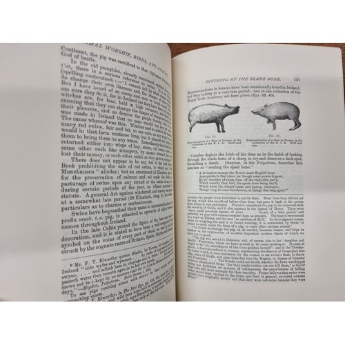 210 - Two vintage hardback books comprising of volume I and II of 'Traces of the Elder Faiths of Ireland' ... 