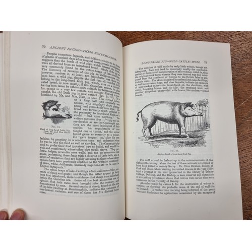 210 - Two vintage hardback books comprising of volume I and II of 'Traces of the Elder Faiths of Ireland' ... 