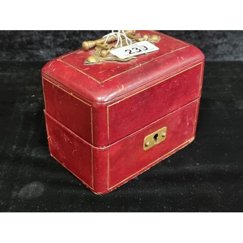 239 - A fabulous 19th Century carry case containing two crystal ink wells. Case finished in an oxblood col... 