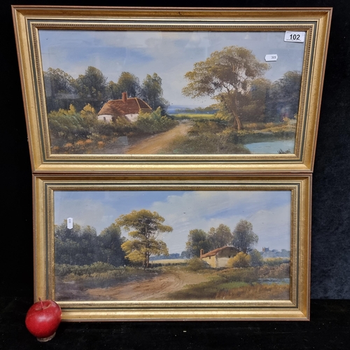 102 - A pair of original oil on board paintings depicting scenes from rural life including cottages and wi... 