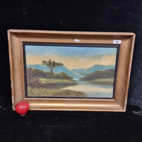 101 - A lovely original antique oil on canvas painting featuring a West of Ireland landscape scene of a mo... 