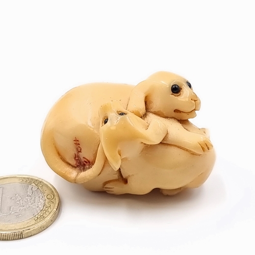 34 - An excellent example of a late 19th century Netsuke, featuring a playful mother and pup. Another fin... 