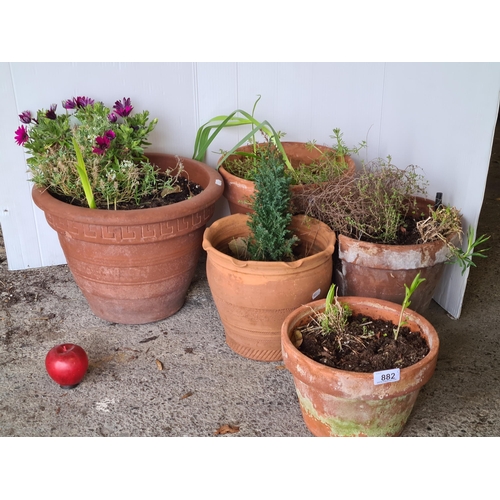 882 - A charming set of five terracotta planters.