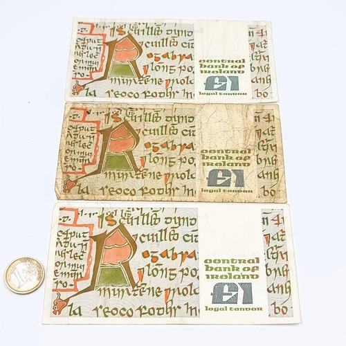Three Irish one pound B Series bank notes.