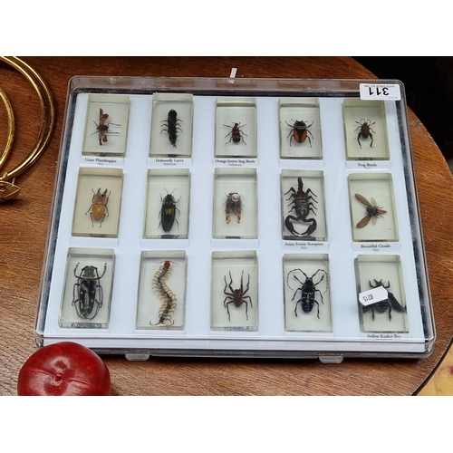 311 - A display box containing 15 insect specimens including an Asian Giant Planthopper, an Indonesian Sta... 