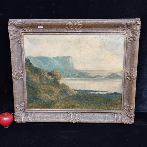 90 - Star Lot : A beautiful antique original oil on canvas painting by the Limerick born landscape artist... 