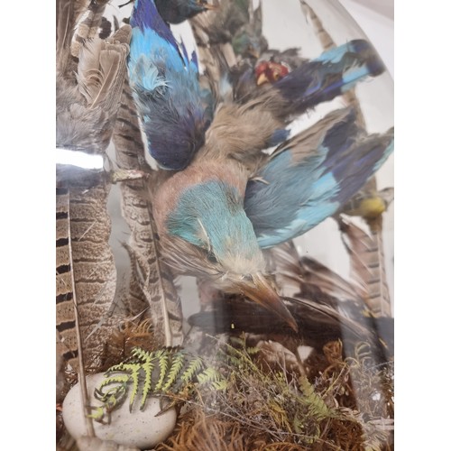 199 - Star Lot: A truly stunning taxidermy display of birds. The centrepiece consists of and Indian Roller... 