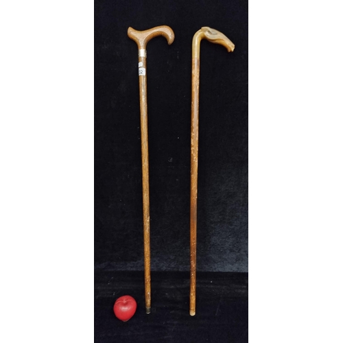 132 - Two vintage walking sticks / canes including an unusual example with a beautiful carved horn handle ... 