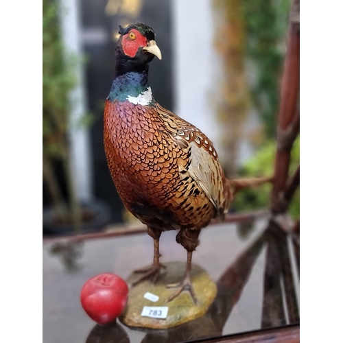 783 - A striking example of a taxidermy pheasant with wonderful luster to plumage and in very good conditi... 