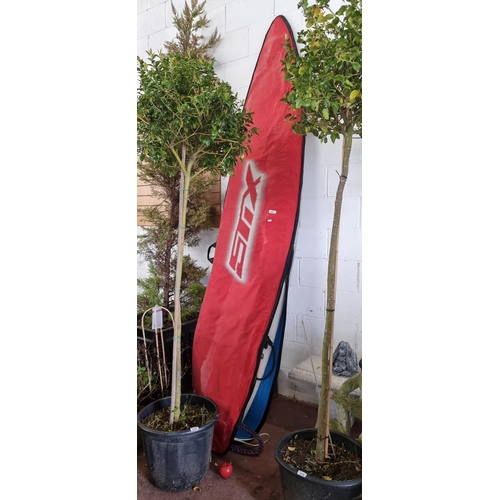 858 - Star lot : A  high quality Jimmy Styks wind Surf  board with branded case. These high quality boards... 