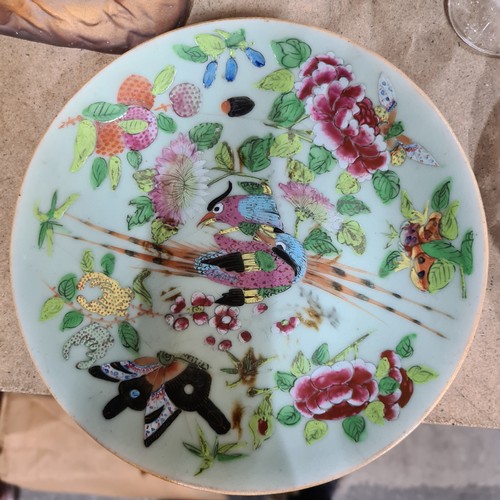 890 - Star lot : Two fabulous 19th century porcelain plates with hand painted Chinese pheasant and butterf... 