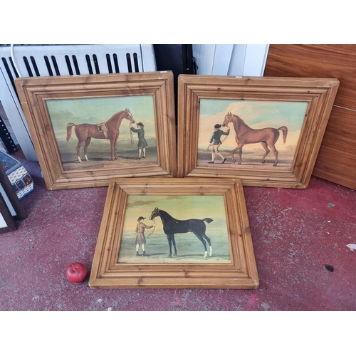 950 - Three solid oak frames currently housing prints of famous racing horses from the 18th century.