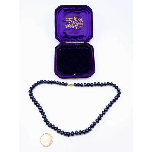 599 - Star lot : A high quality vintage cultured Black Pearl necklace, set with an 18 carat gold lobster c... 