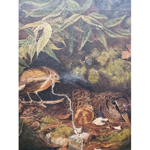 311 - An original antique oil on canvas painting by the artist J. Wolfe. Features a scene of nesting birds... 