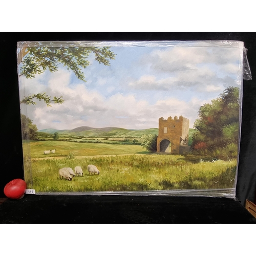 116 - Star Lot: A large, beautiful original oil on canvas painting by the prize-winning Irish artist Marga... 