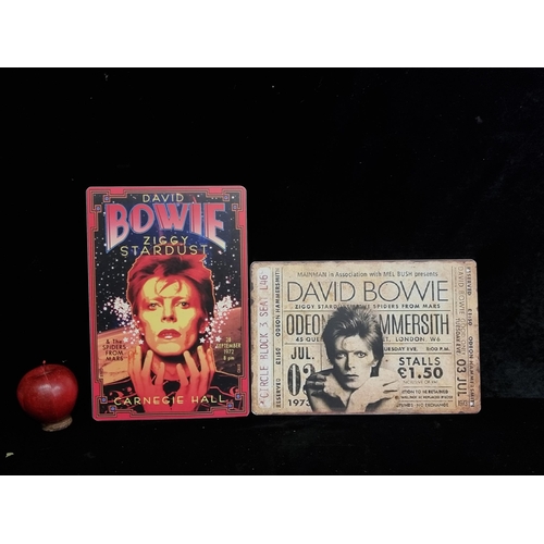 244 - Two plaques showing images of pop music star David Bowie.