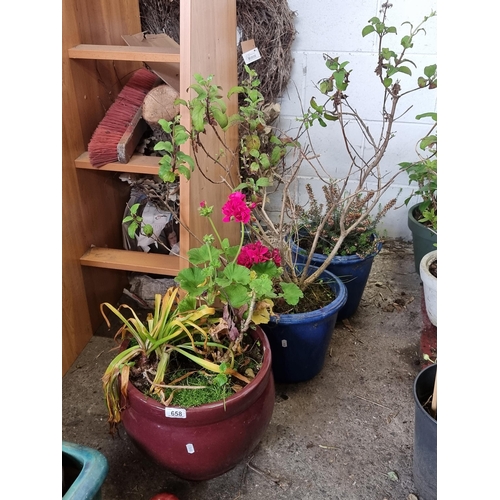 658 - Three beautiful large ceramic planter pots including two matching blue glazed examples and a large p... 