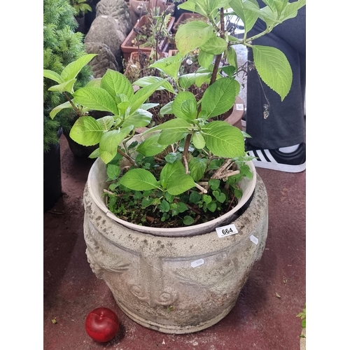 664 - A large and extremely heavy reconstituted stone garden planter featuring a grapevine motif throughou... 