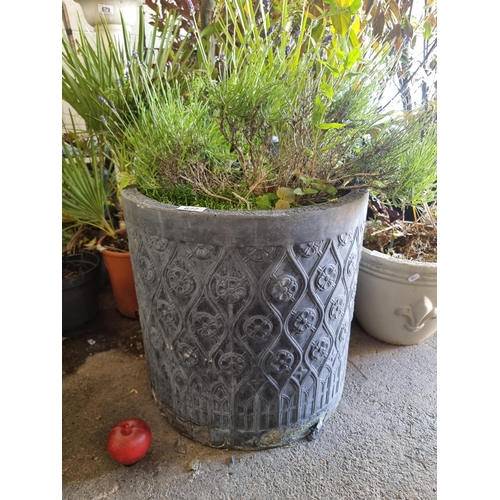 677 - A lavender plant held in a very large  stone outdoor planter with a floral motif. H70cm.