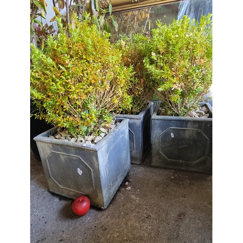 688 - A trio of heavy mature Buxus sempervir (box plants) in square reconstituted stone planters. H80cm (3... 