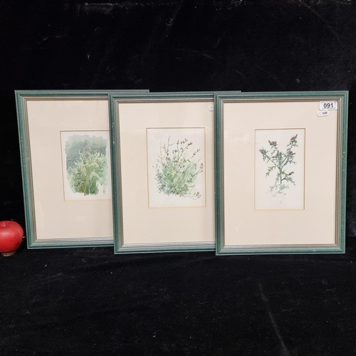 91 - A set of three original watercolour on paper paintings featuring delicate botanical studies of wild ... 