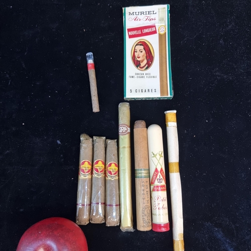 185 - A selection of nine cigars and cigarillos. Including three Kaveewee with a Romeo et Julieta example ... 