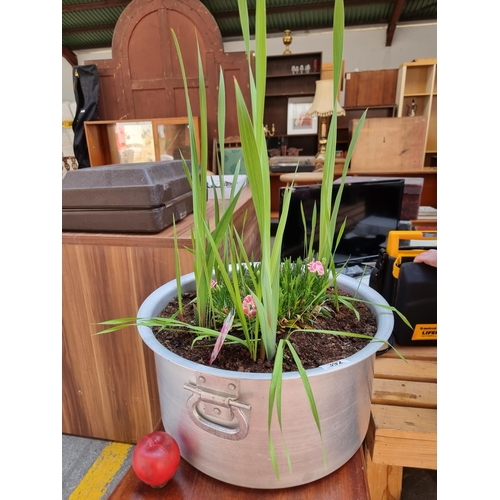 392 - A very large aluminum circular planter, filled with a beautifully thriving Dianthus Oscar plant.