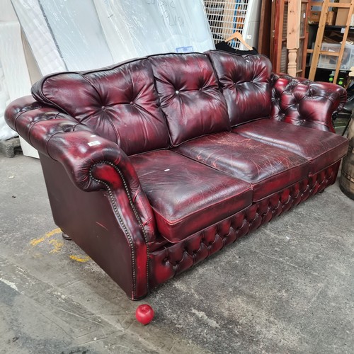 812 - A fabulous Chesterfield three seater couch in an ox blood red leather with button back cushions. In ... 