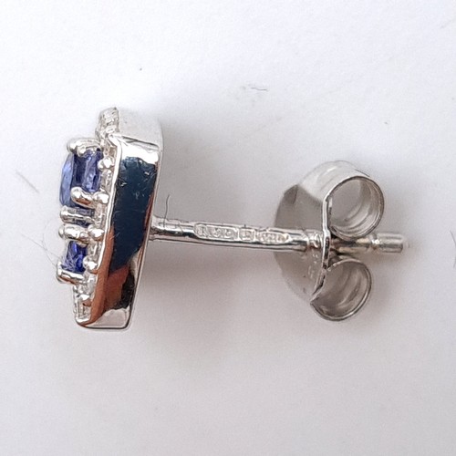 542 - A pair of beautiful Tanzanite stud earrings, set with White Sapphire surrounds. Ring set in sterling... 