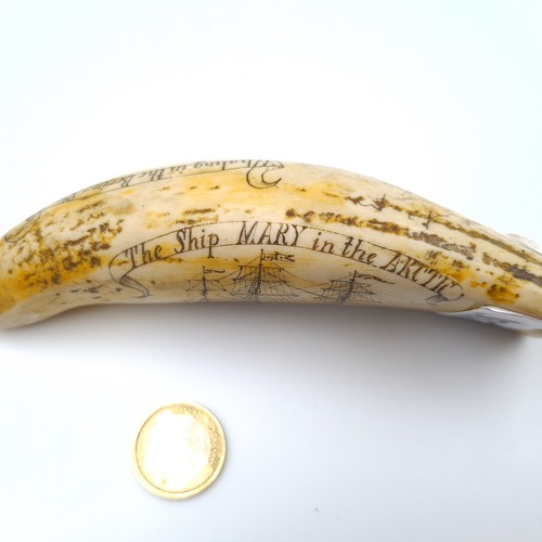 32 - A fine example of an antique repro scrimshaw Whale tooth, with hand carved depictions entitled 