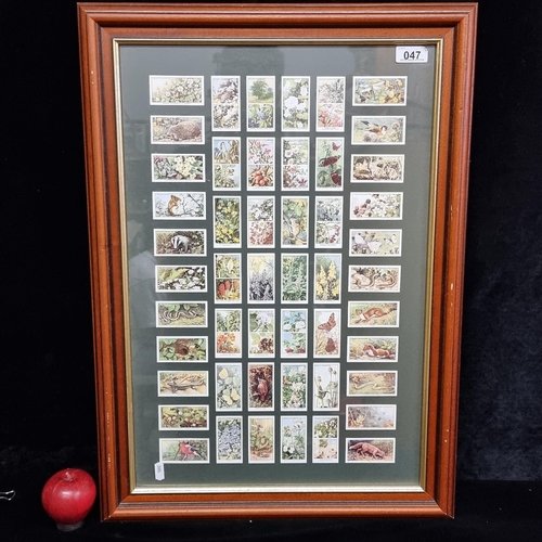 47 - A framed display of 50 vintage 1950s cigarette cards all from the series 