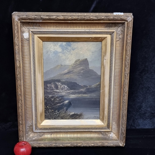 51 - Star Lot: A beautiful original antique 19th century oil on canvas painting by the artist David Hicks... 