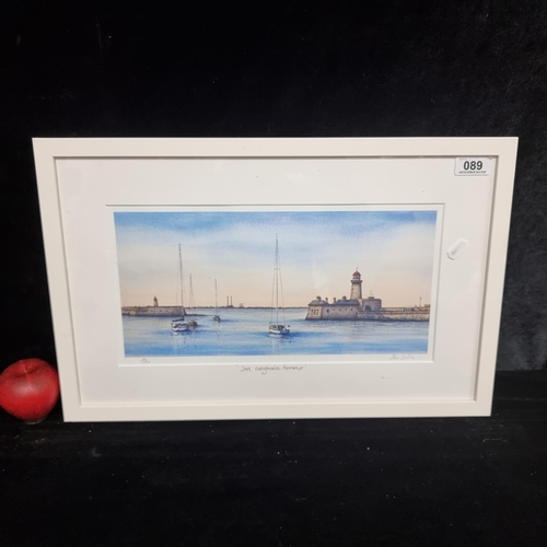 89 - A charming limited edition (276/500) giclee print titled 'Dun Laoghaire Harbour' by the artist Jim S... 