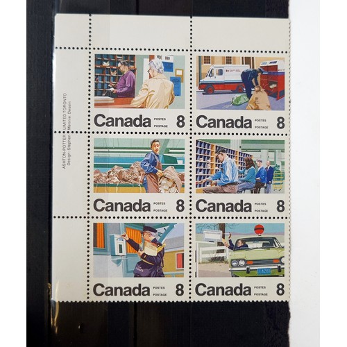 506 - A collection of over 30 plates, all showing organised and mounted Canadian un mounted mint stamp blo... 