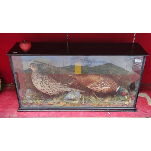 251 - Star lot : A beautiful example of a taxidermy female and male pheasant displayed in a country scene.... 