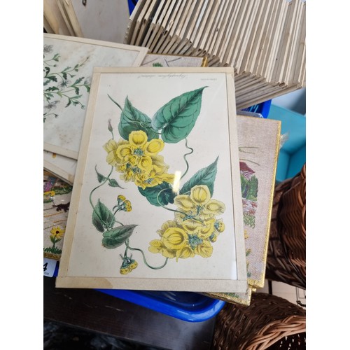 954 - A great selection of vintage prints.